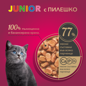 Пауч за подрастващи котенца My Love Kittens with chicken с Пилешко месо в сос